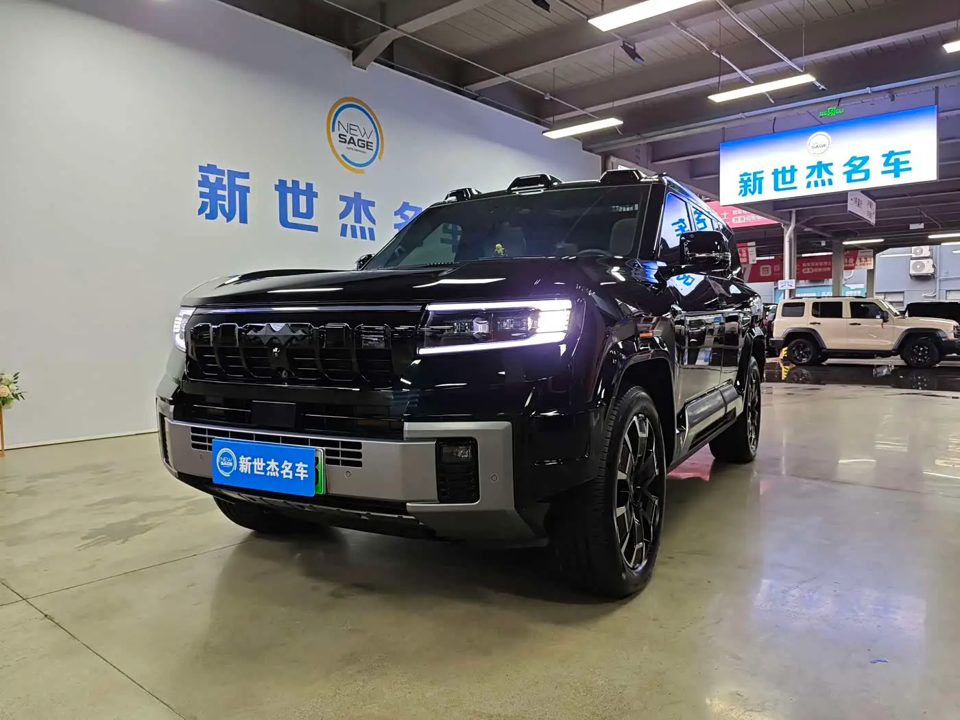 Fang Cheng Bao Leopard 8, 2025