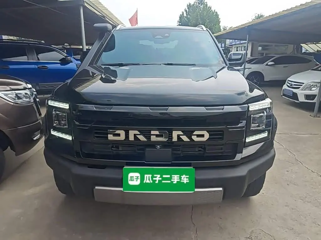 Jiangling Dadao 2024 — Photo 3/20