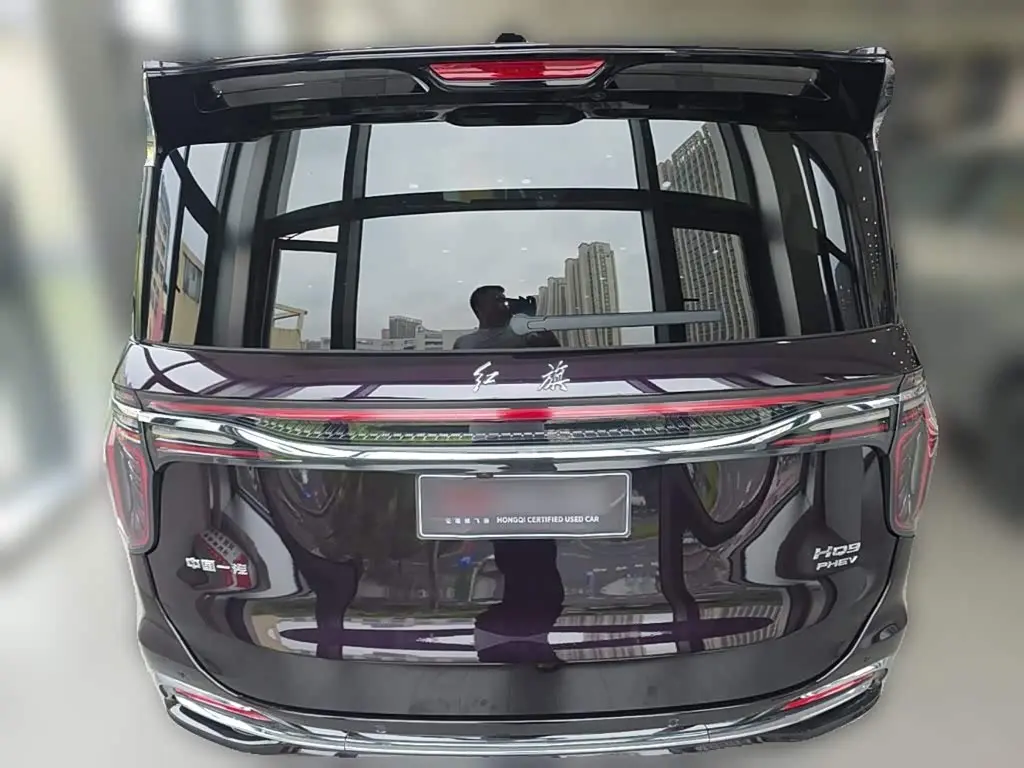 Hongqi HQ9 PHEV 2024 — ფოტო 10/20