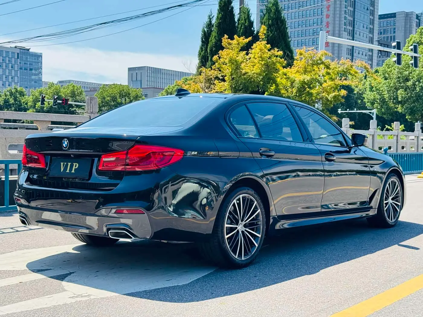 BMW 5 Series 2019 — Photo 6/18