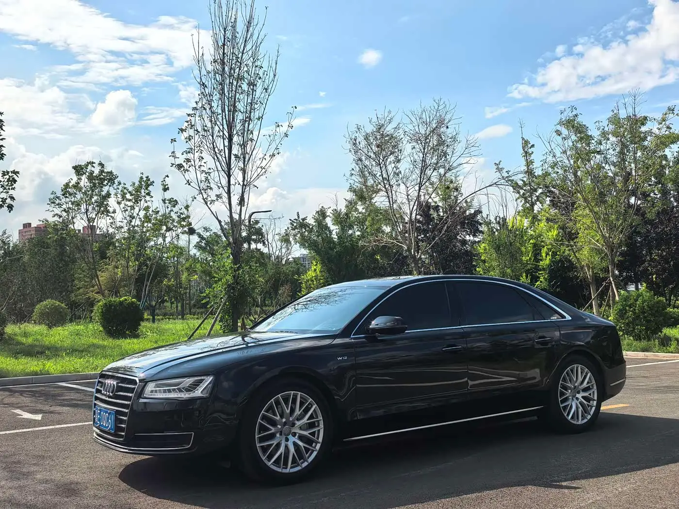 Audi A8, 2016