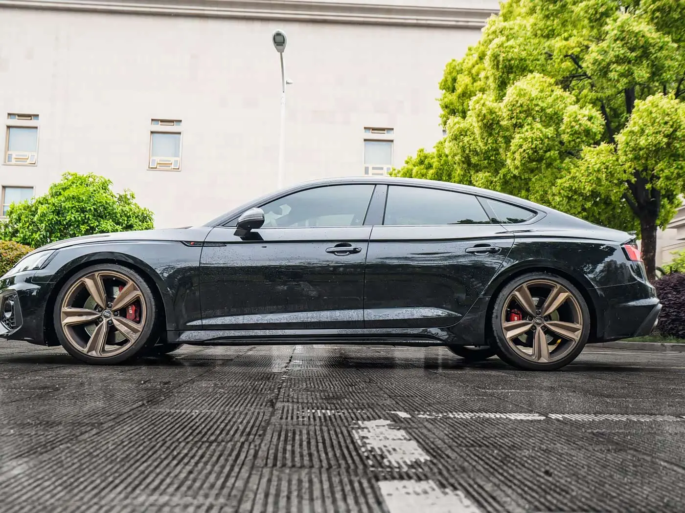 Audi RS 5 2024 — ფოტო 3/15