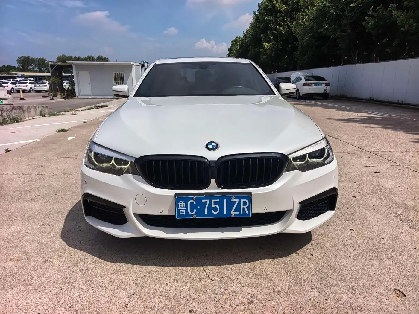BMW 5 Series 2019 — Фото 2/9