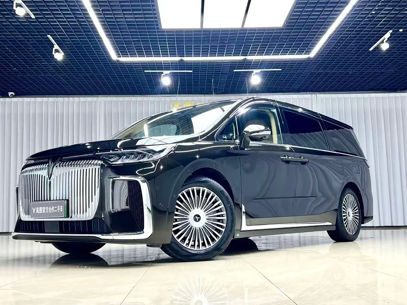 Voyah Auto Voyah Dreamer, 2024