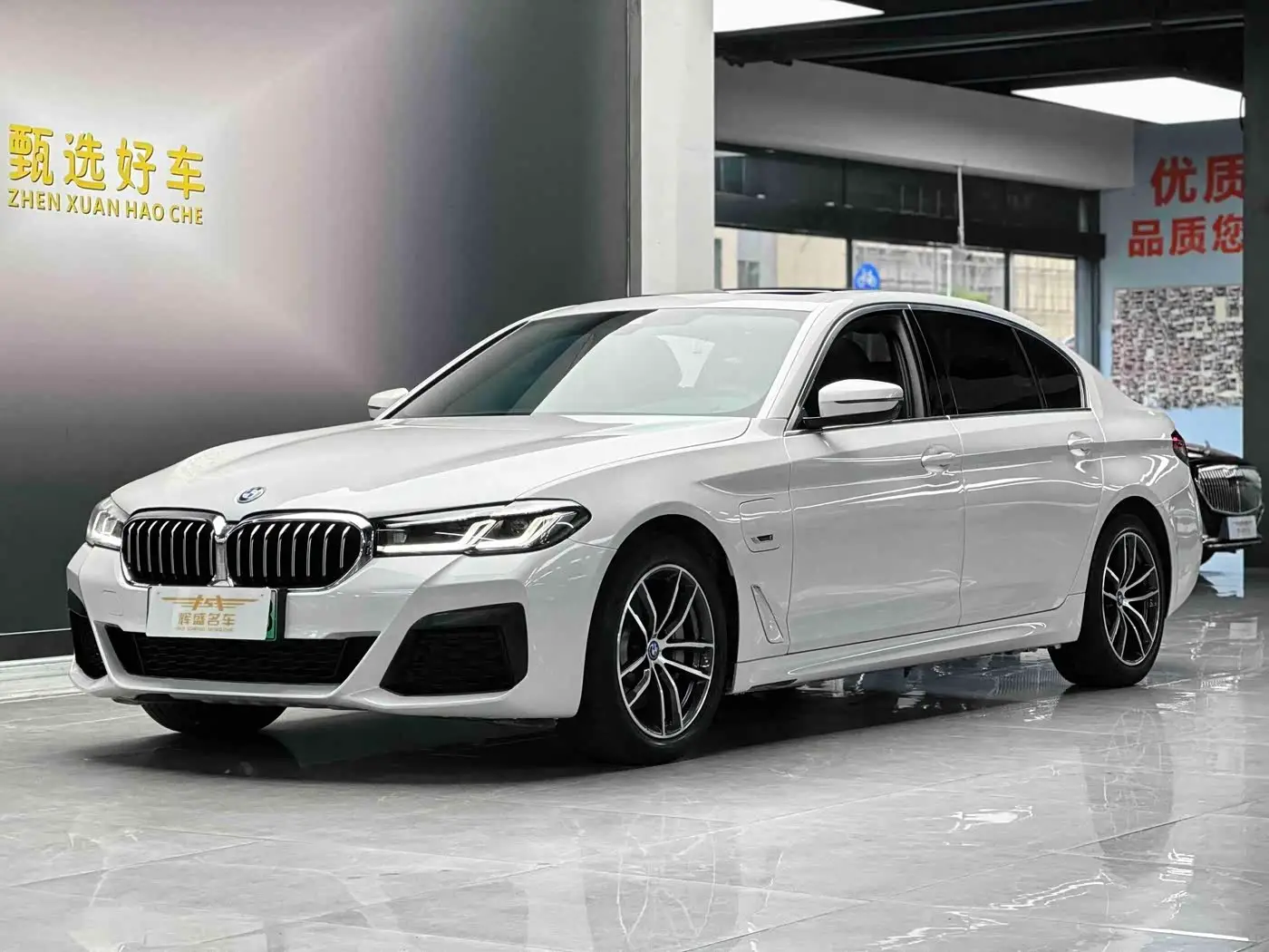 BMW 5 Series New Energy, 2021