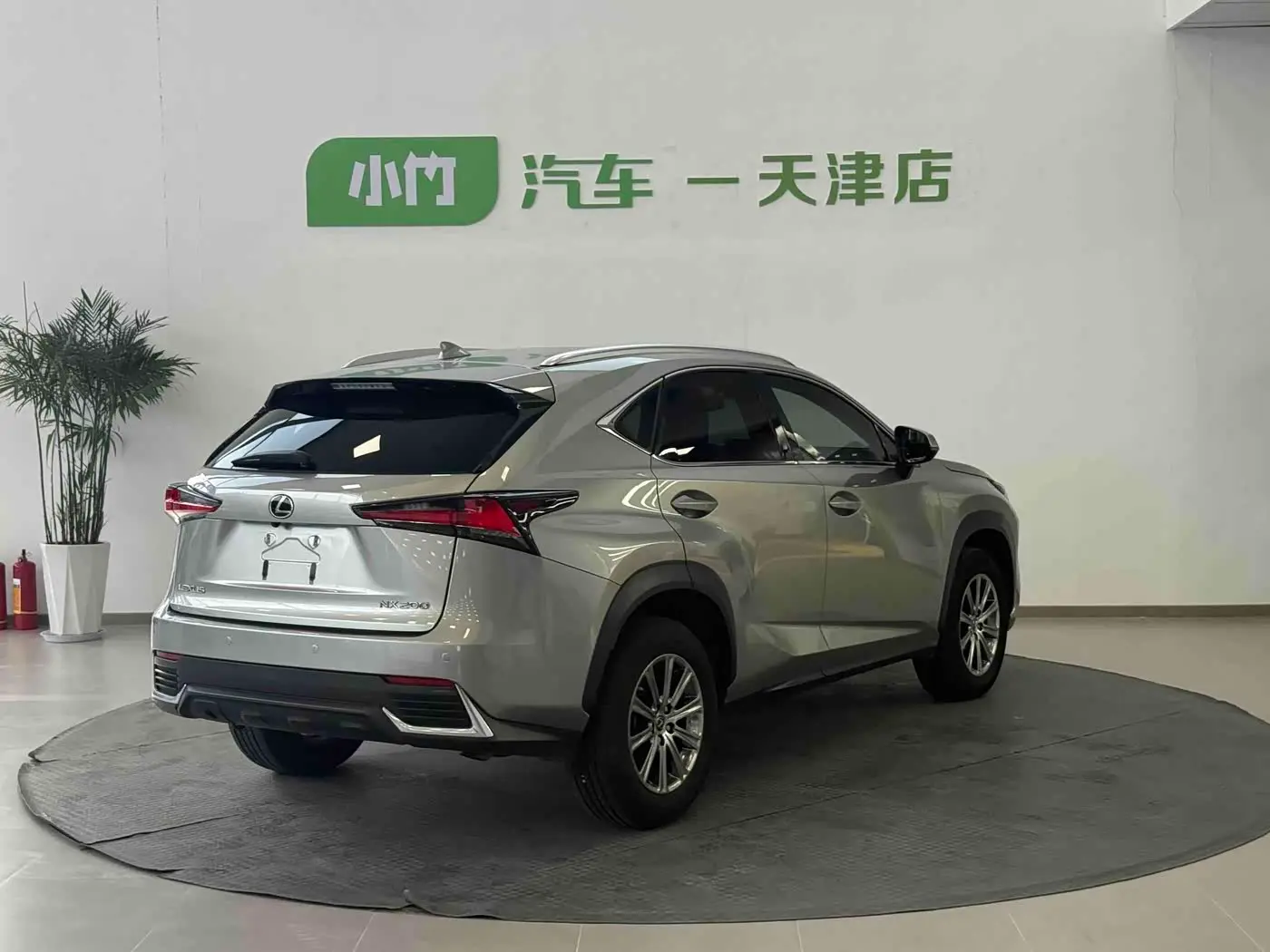 Lexus NX 2020 — Photo 7/20