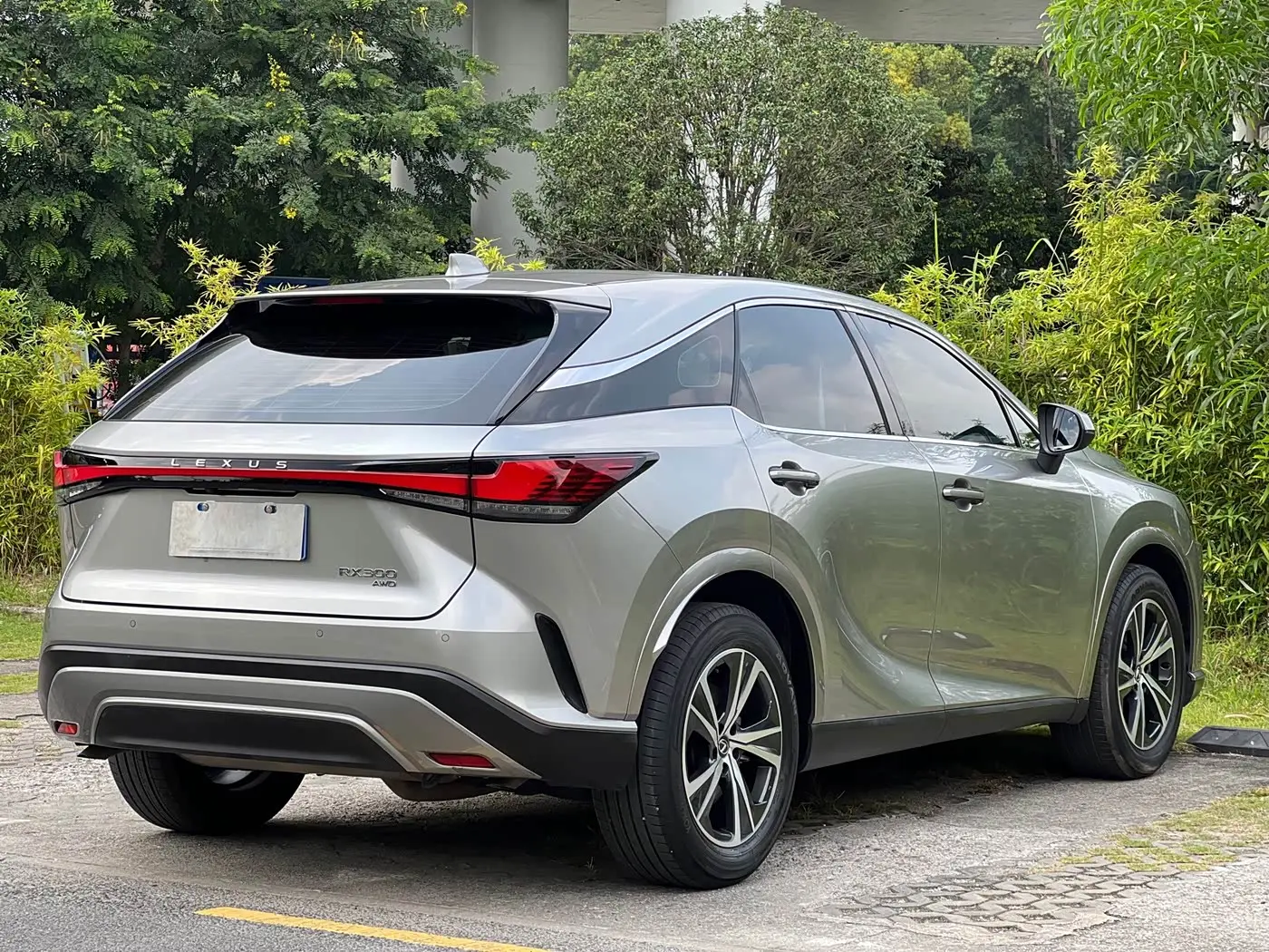 Lexus RX 2025 — Фото 6/20