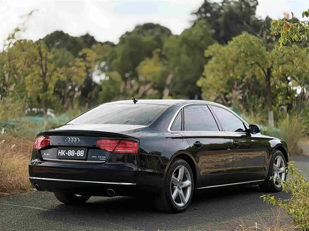 Audi A8 2014 — Фото 15/19