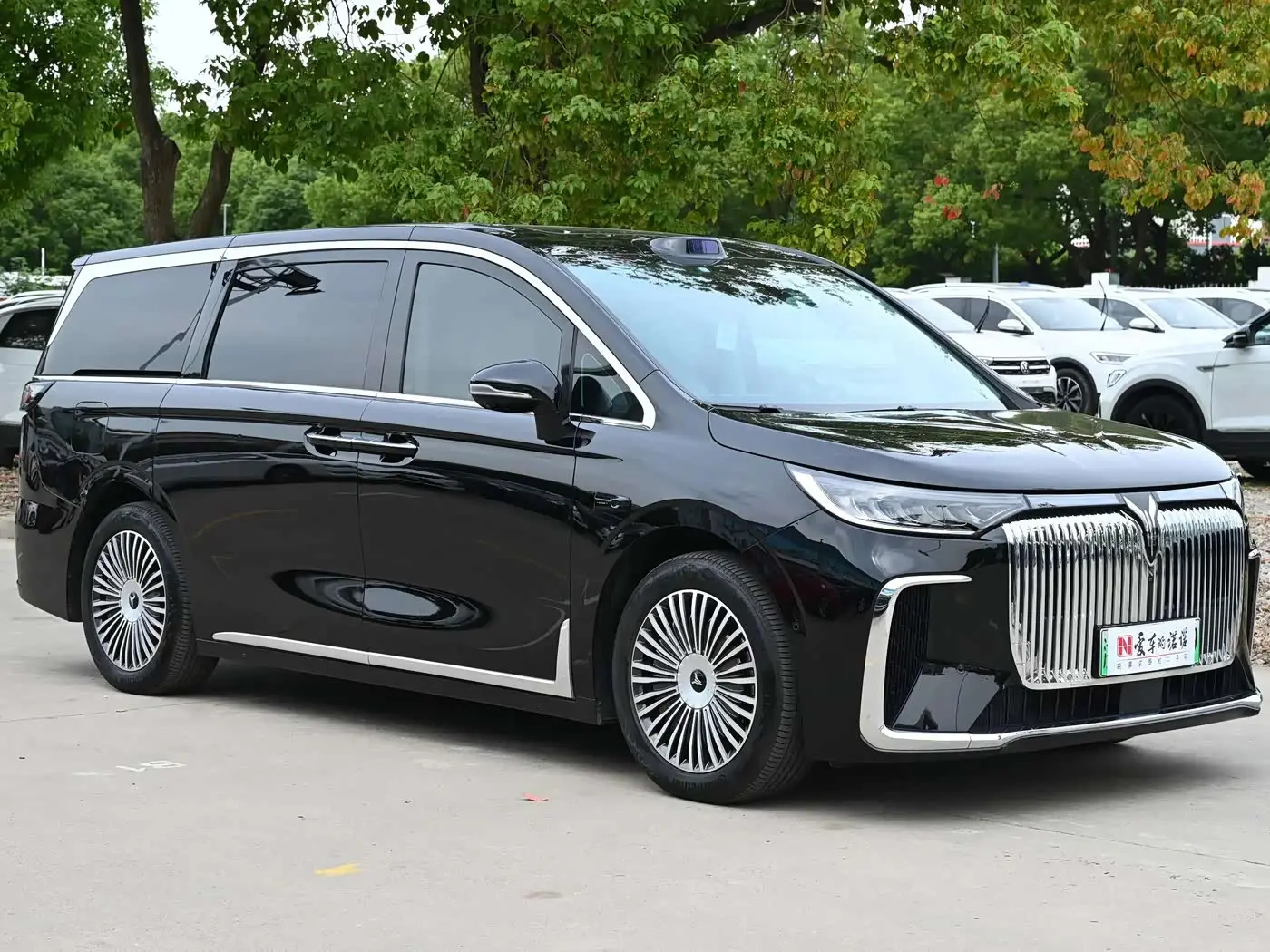 Voyah Auto Voyah Dreamer 2025 — Photo 5/11
