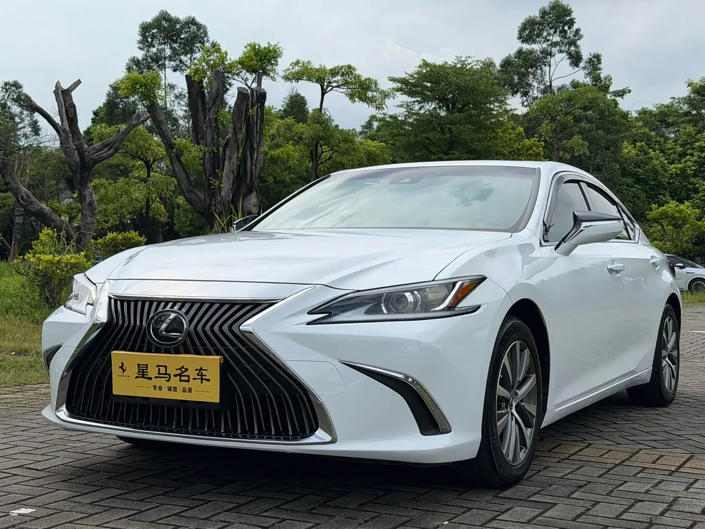 Lexus ES 2019 — Фото 1/20