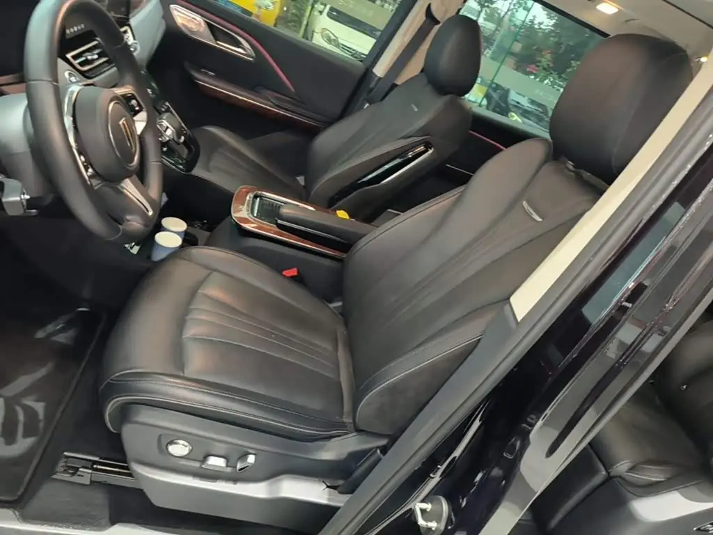 Hongqi HQ9 PHEV 2024 — Photo 15/20