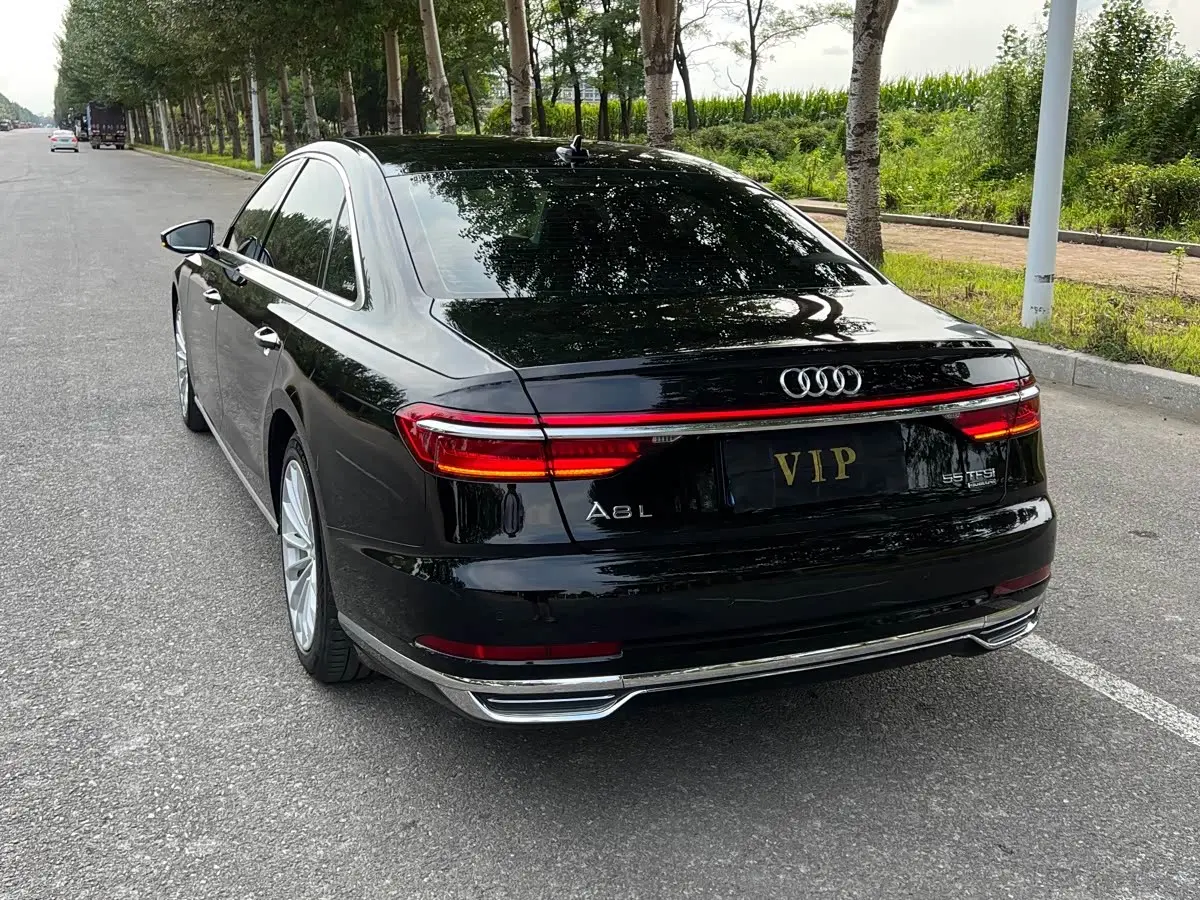 Audi A8 2019 — Photo 7/20