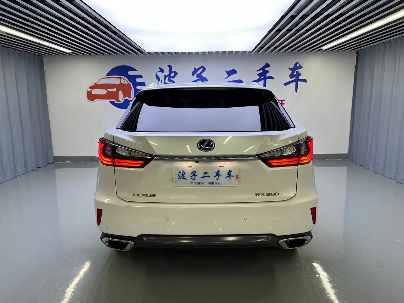 Lexus RX 2019 — Фото 19/20