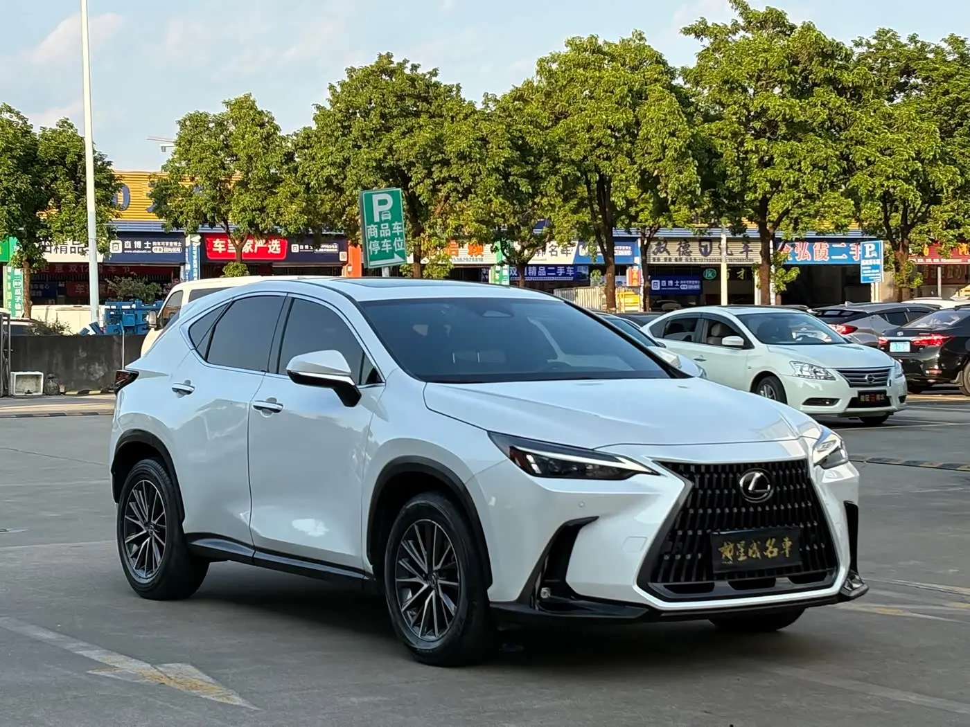 Lexus NX 2024 — Фото 3/20