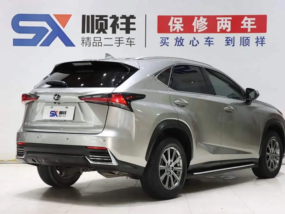 Lexus NX 2021 — Photo 4/19