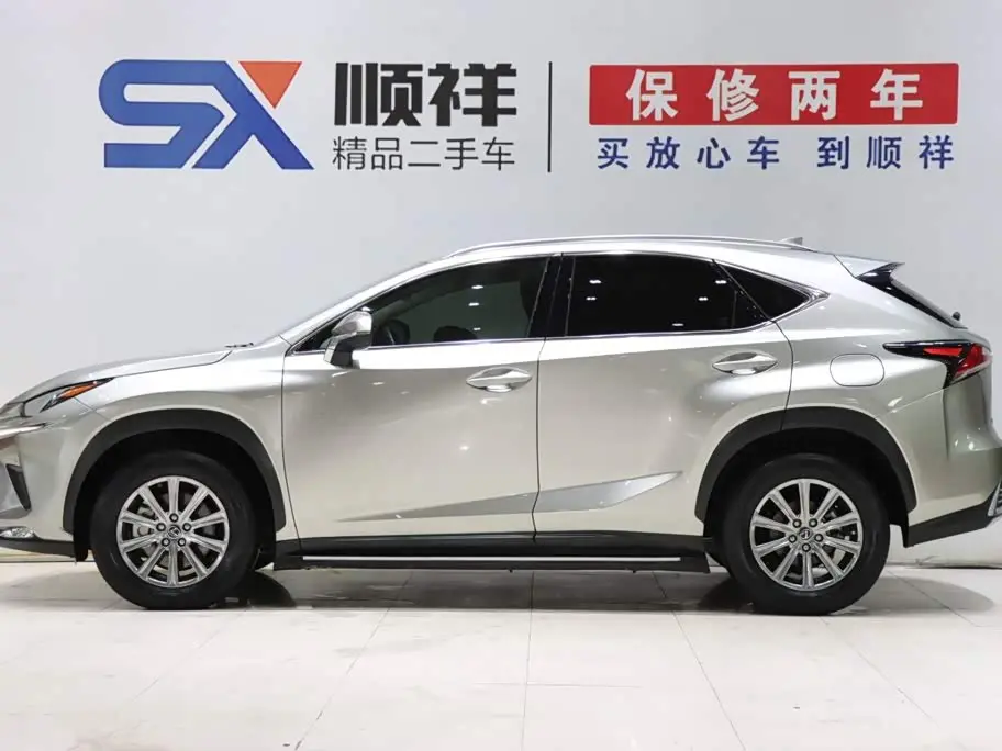 Lexus NX 2021 — Photo 6/19