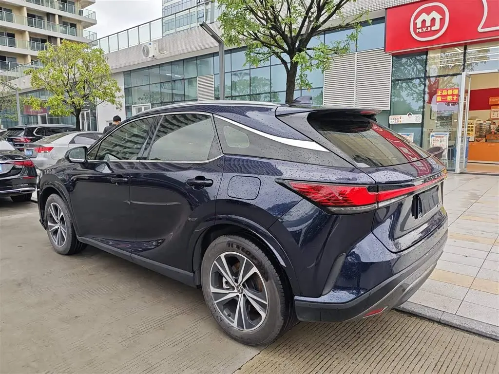 Lexus RX 2023 — Фото 4/9