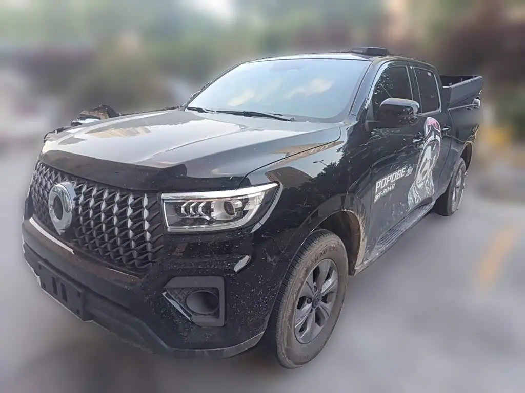 Great Wall Pao 2025 — Photo 1/20