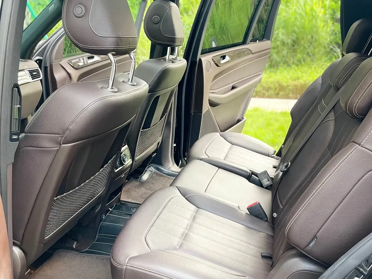 Mercedes-Benz GLS 2017 — Photo 20/20