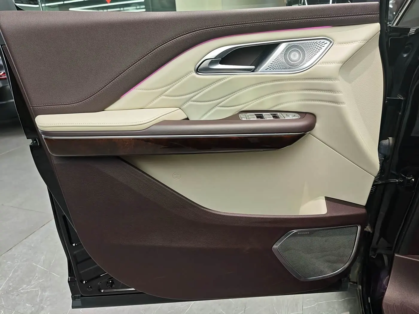 Hongqi HQ9 2023 — Photo 12/18