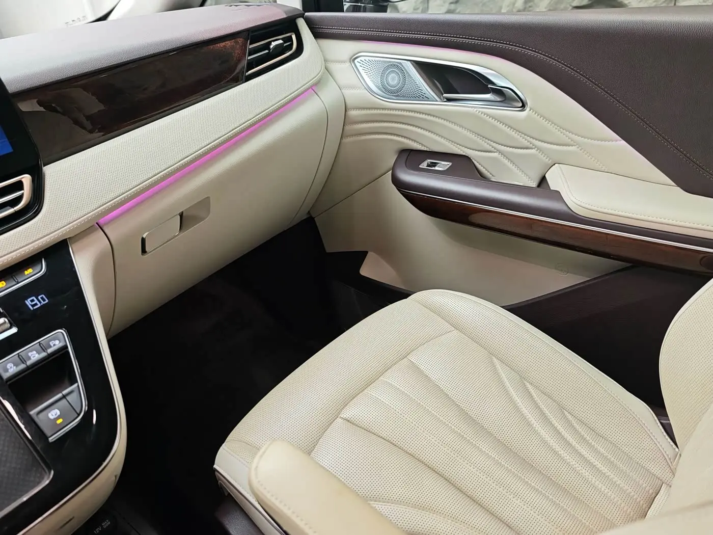Hongqi HQ9 2023 — Photo 15/18