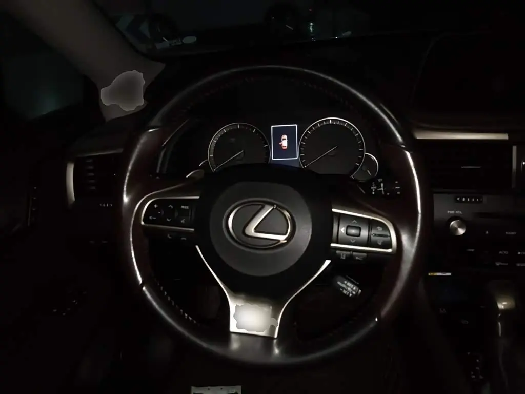 Lexus RX 2020 — Photo 11/20