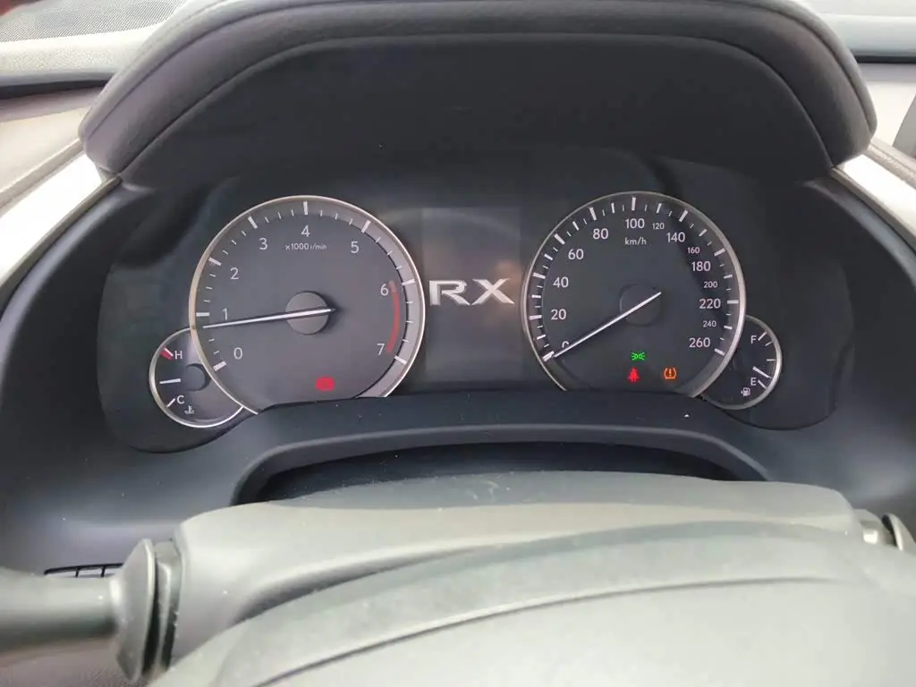Lexus RX 2020 — Photo 12/20