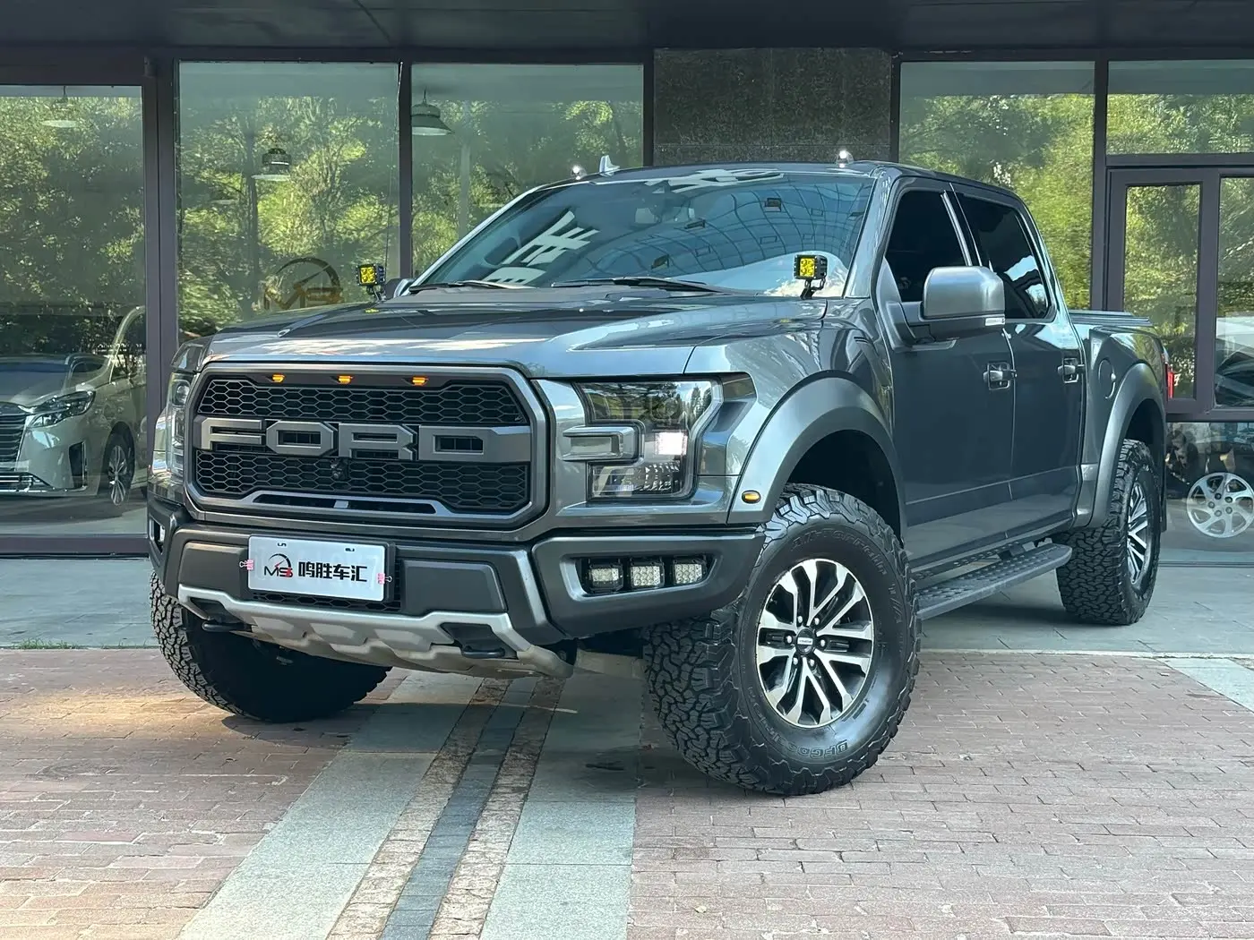 Ford F-150 Raptor 2019 — Photo 1/17