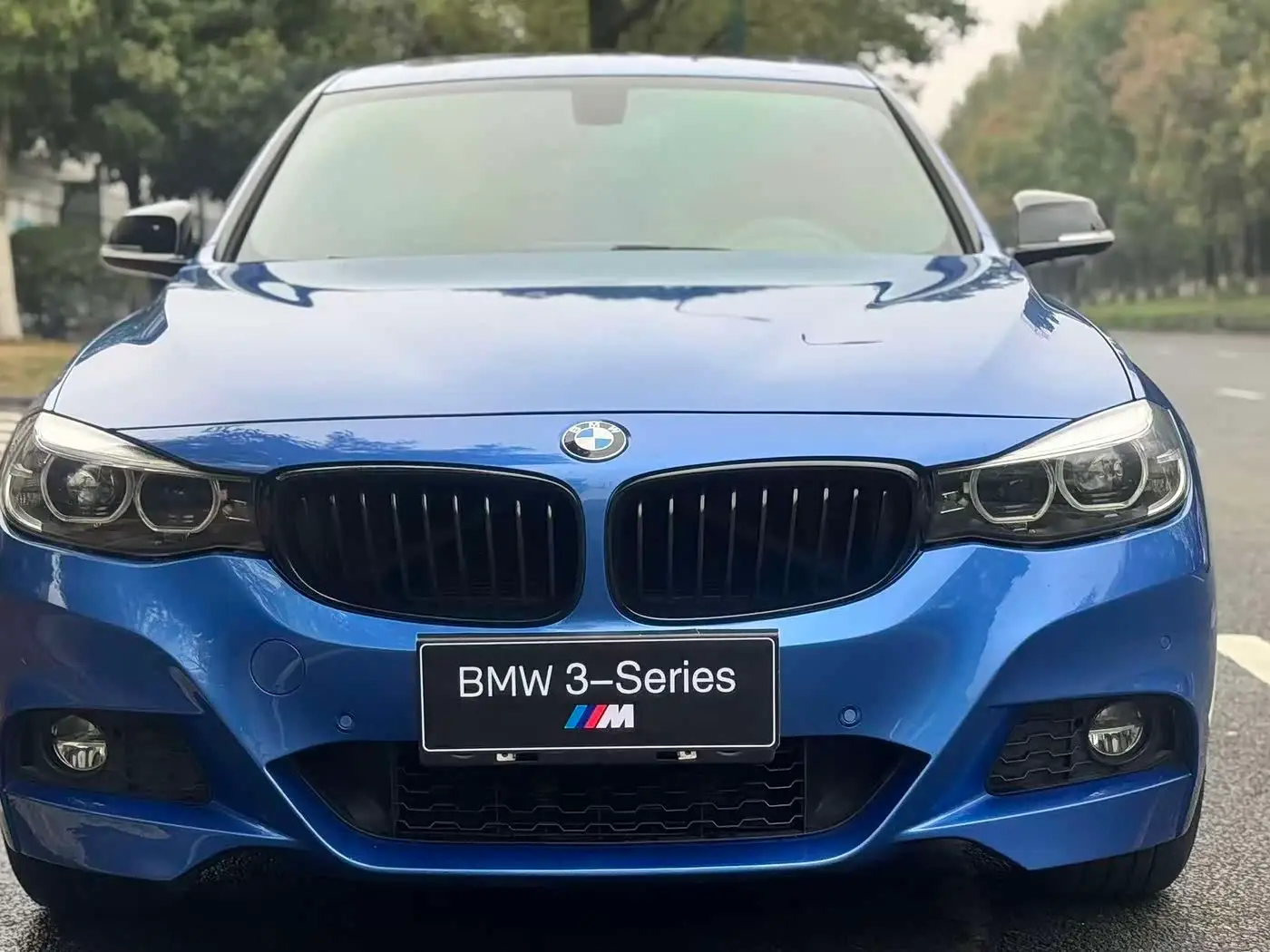 BMW 3 Series GT, 2019
