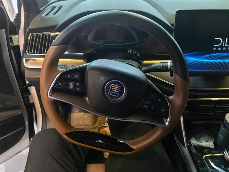 BYD Tang New Energy 2023 — Фото 15/16