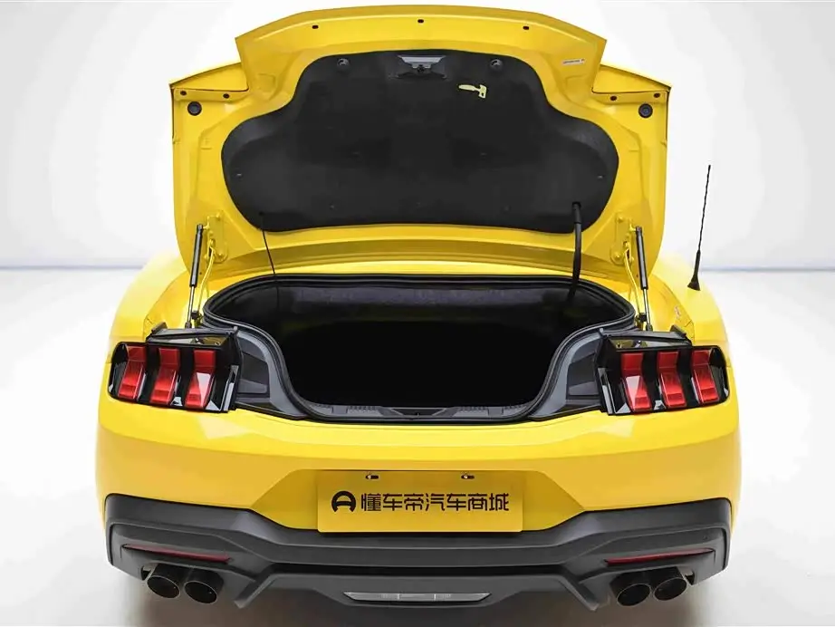 Ford Mustang 2024 — Фото 17/20