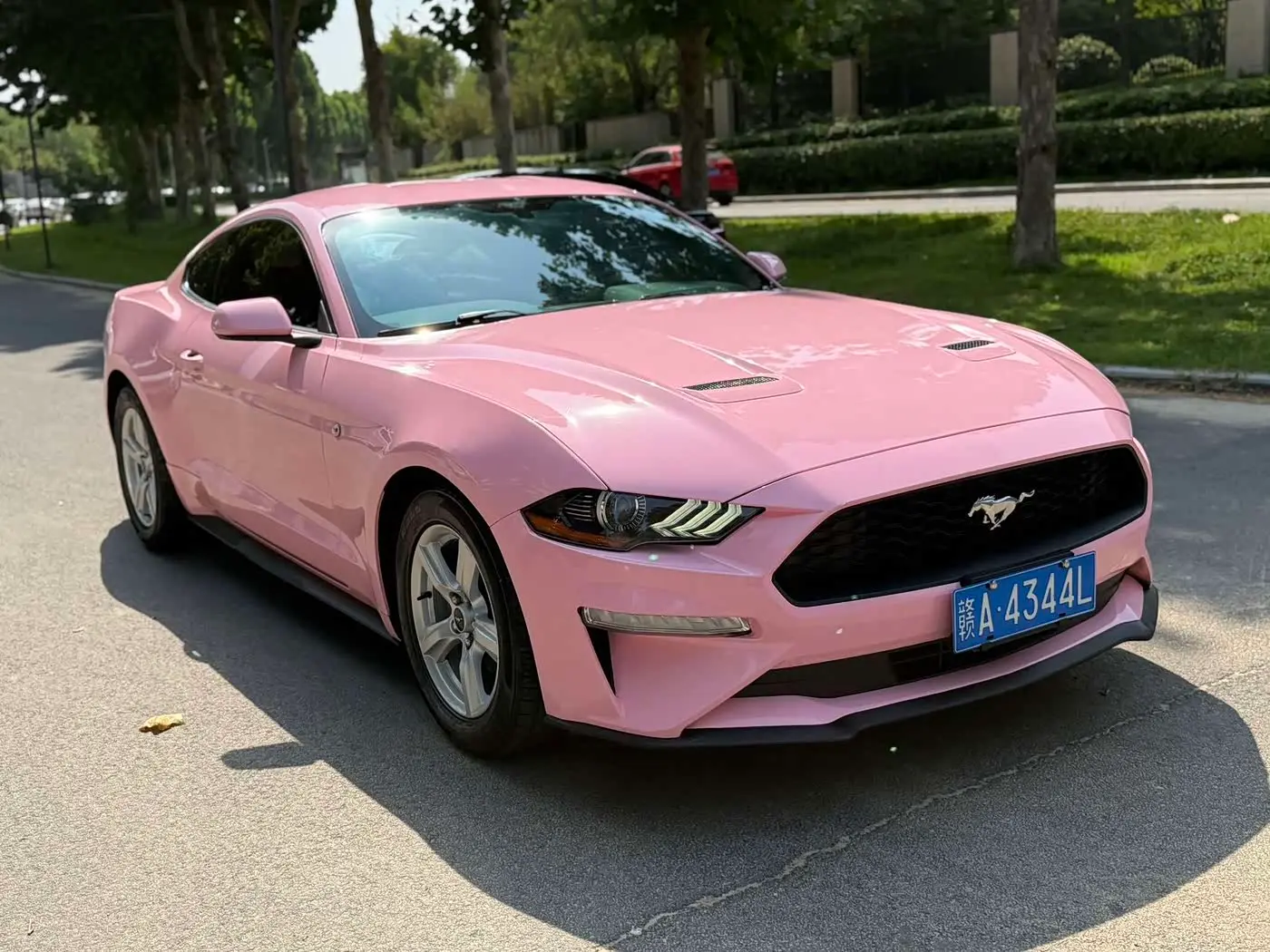 Ford Mustang 2019 — Photo 3/9