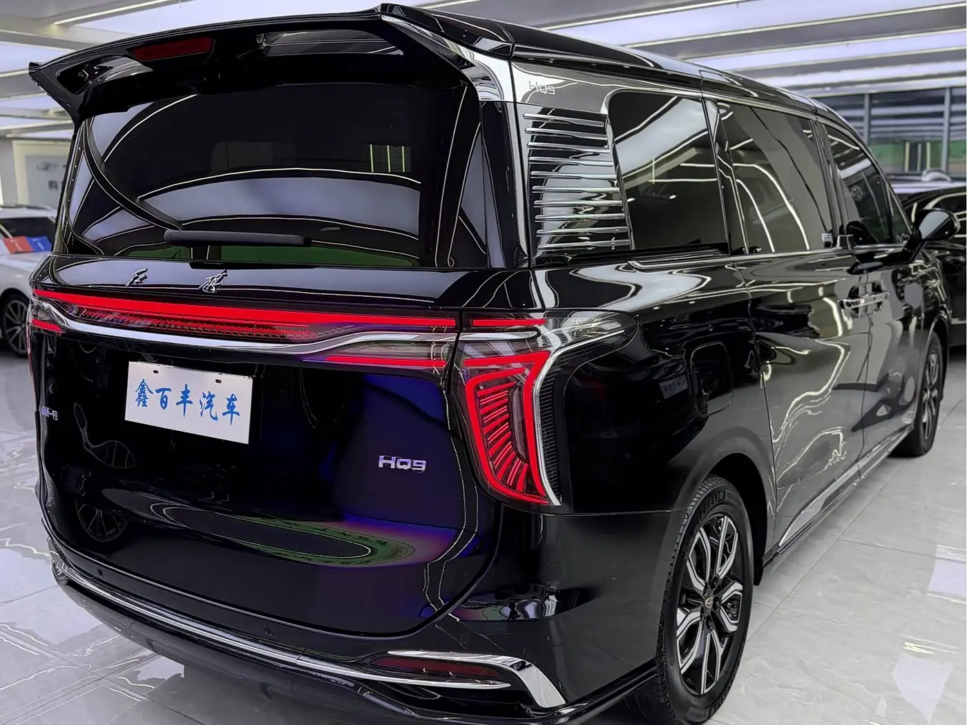 Hongqi HQ9 2023 — Photo 9/12