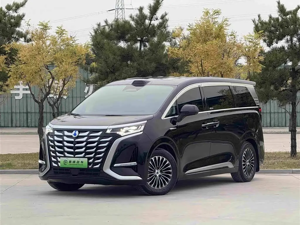 Denza D9, 2025
