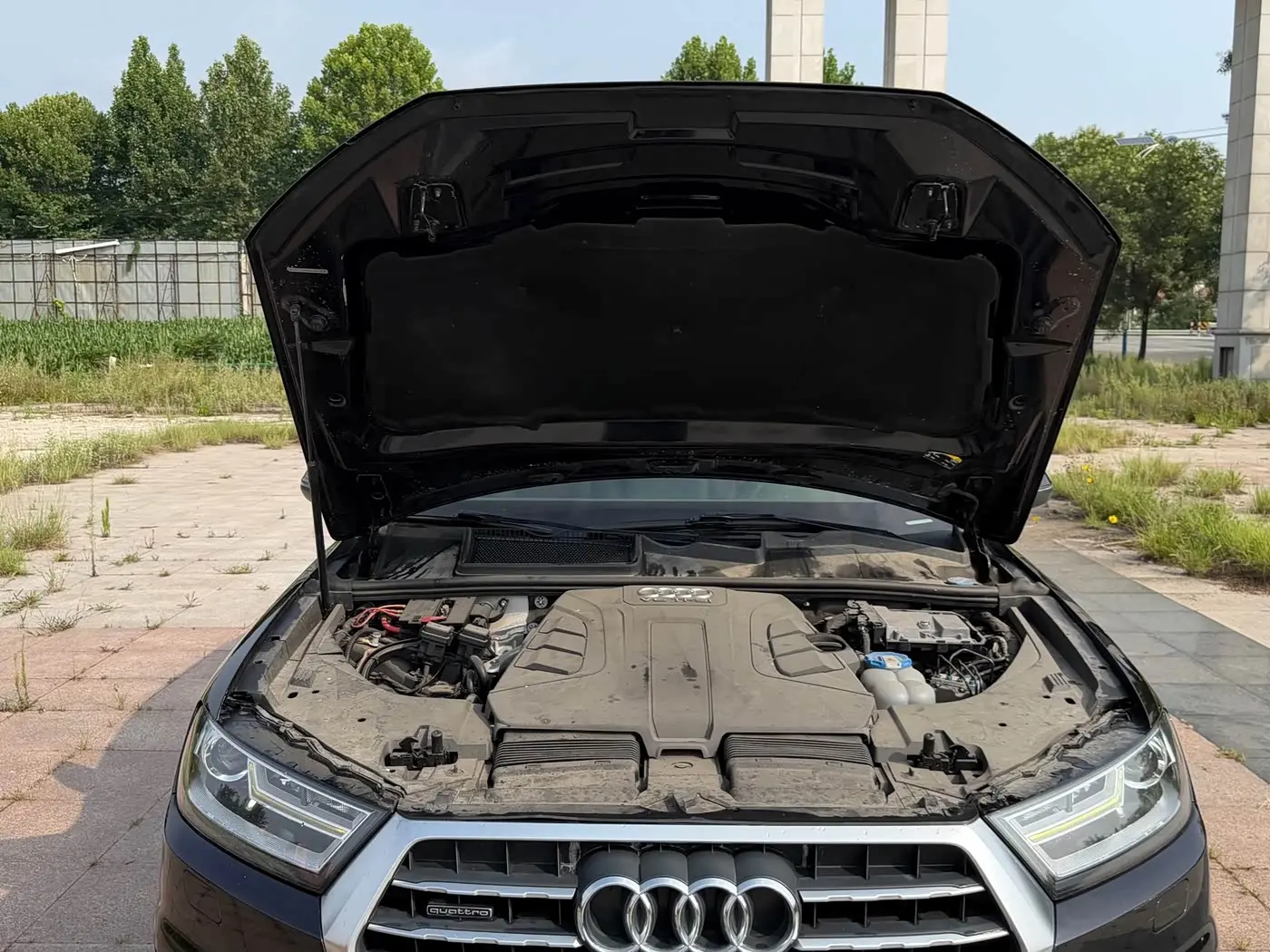 Audi Q7 2016 — Photo 12/15