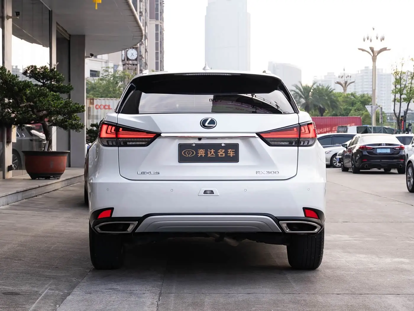 Lexus RX 2023 — Фото 5/20