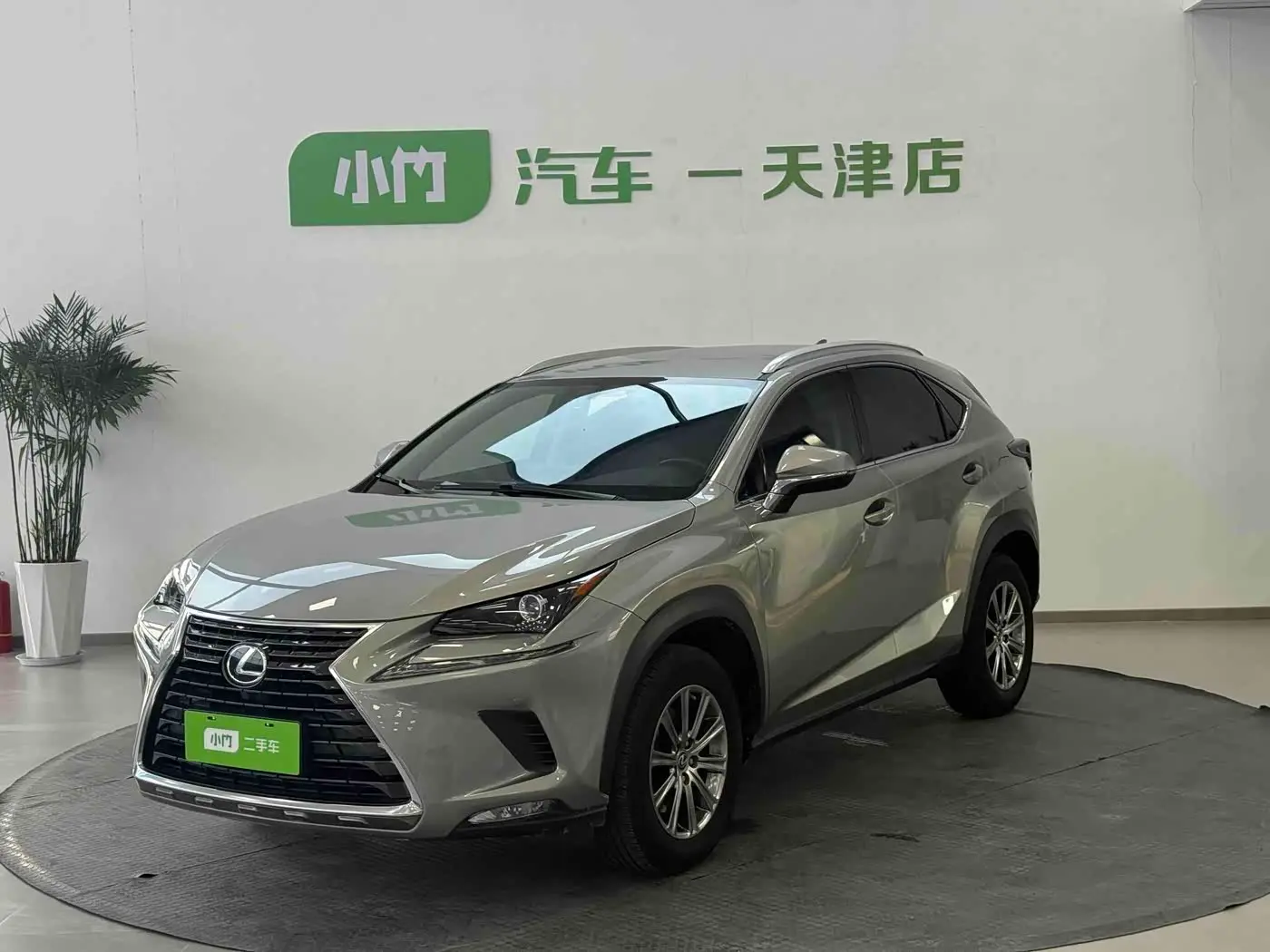 Lexus NX 2020 — Photo 1/20