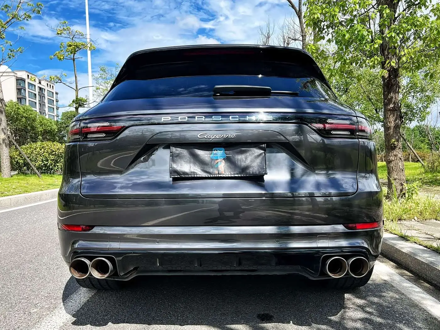 Porsche Cayenne 2020 — Фото 3/9