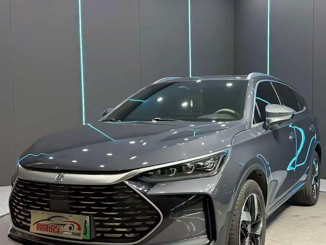 BYD Tang New Energy, 2024