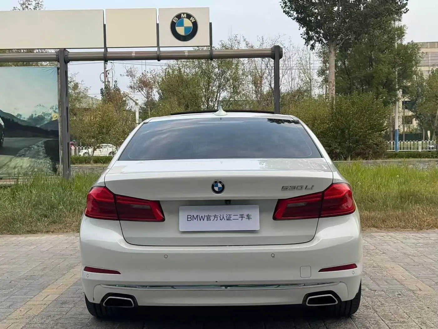 BMW 5 Series 2020 — Photo 8/15