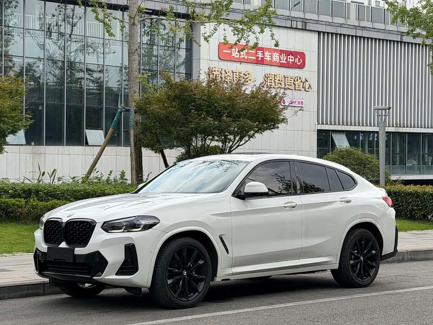 BMW X4 2023 — Фото 1/16