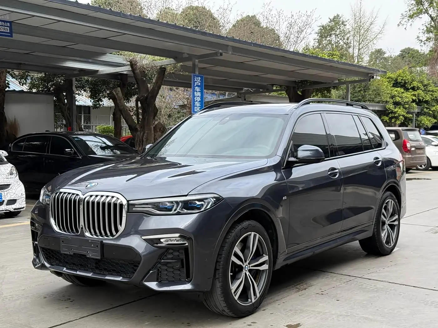 BMW X7, 2019