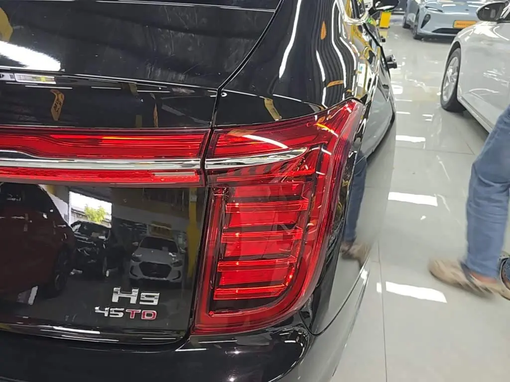 Hongqi H9 2023 — Photo 8/20
