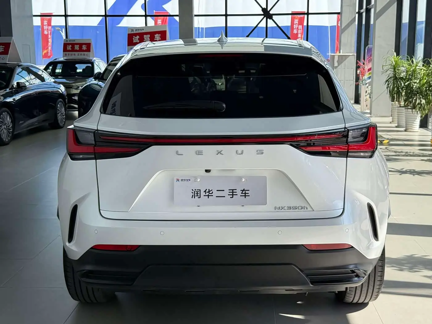Lexus NX 2024 — Photo 4/16