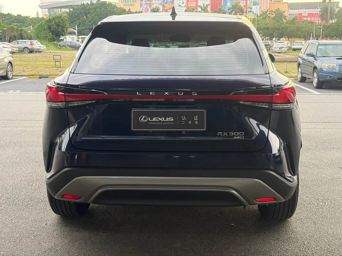 Lexus RX 2025 — Фото 8/10