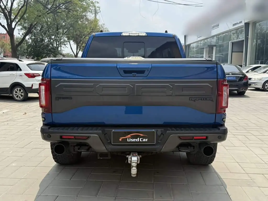 Ford F-150 Raptor 2018 — Фото 7/11