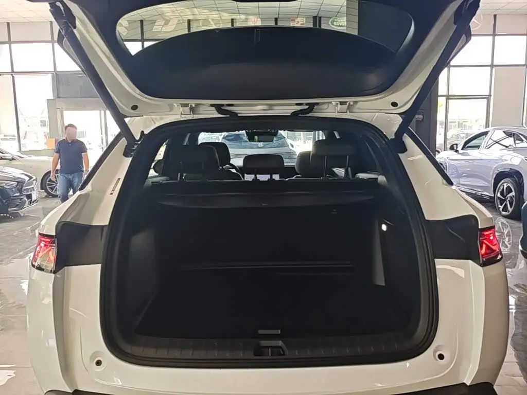 BYD Song L DM-i 2025 — Photo 19/20