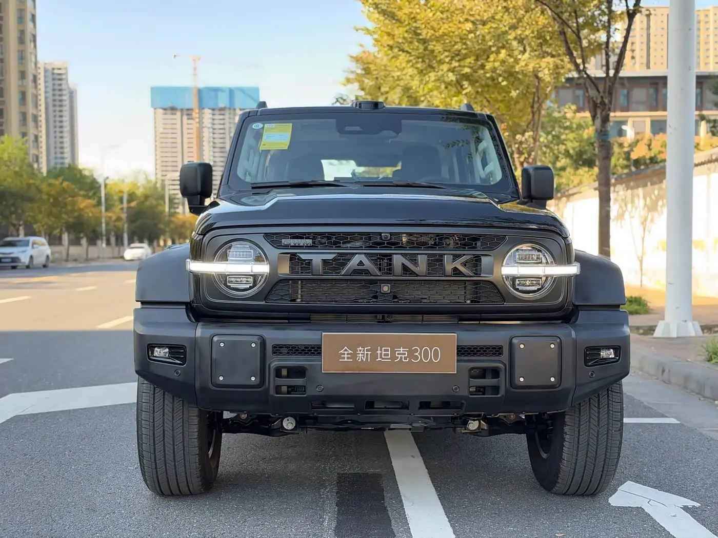 Tank 300L New Energy 2026 — Photo 2/20