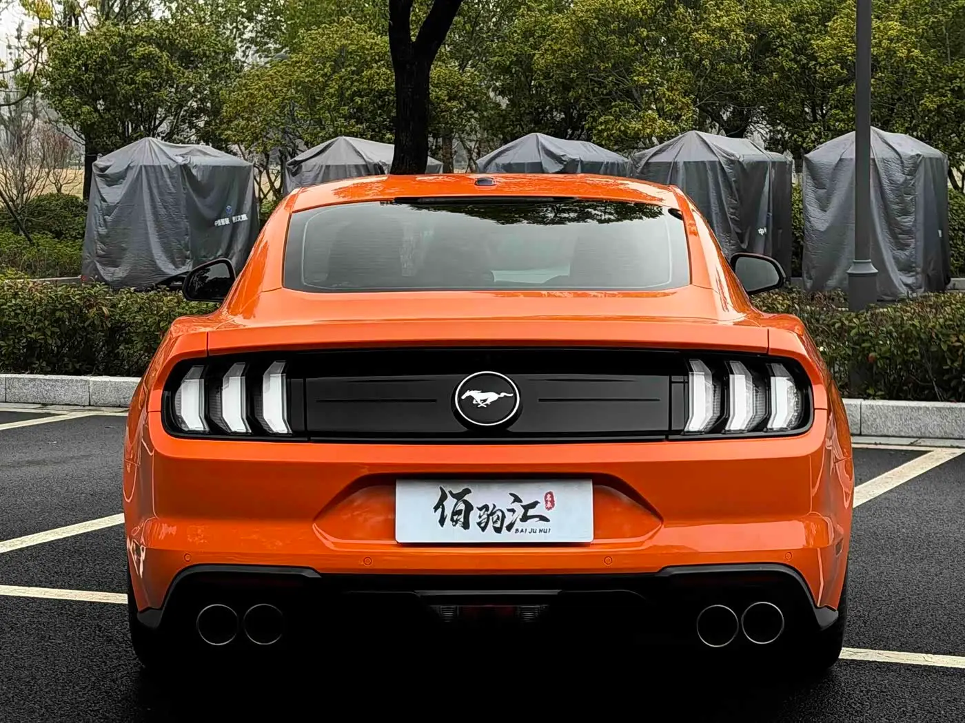 Ford Mustang 2020 — Фото 6/14