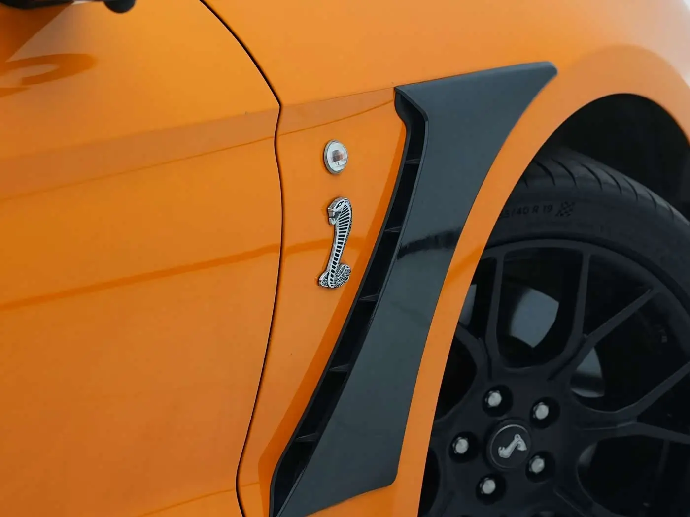 Ford Mustang 2019 — Şəkil 19/20
